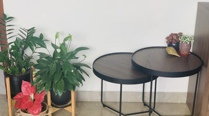 Karl Walnut nested Coffee Table Review