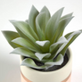Agave Attenuata Artificial Plant