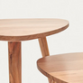 Eluana Set of 2 Nesting Side Tables