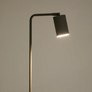 Manie Floor Lamp