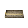 Reptilian Brown Tray