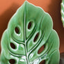 Monstera Leaf Plate