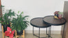 Karl Walnut nested Coffee Table Review