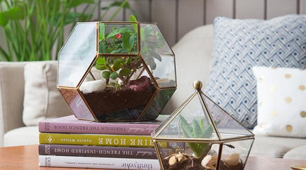 Use these beautiful brass edged terrariums to decorate your home