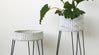 Fill these white baskets with greenery for a fresh look that works in any room.