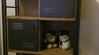 City Bookshelves Review