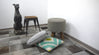 Rugs Galore