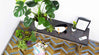New arrivals of cowhide rugs
