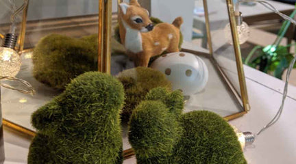 Get creative with our terrariums.