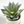 Agave Attenuata Artificial Plant