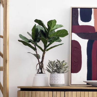 Lyrata Artificial Plant