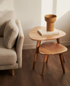 Eluana Set of 2 Nesting Side Tables