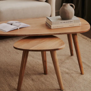 Eluana Set of 2 Nesting Side Tables