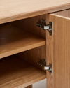 Salaya TV Console