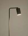 Manie Floor Lamp