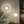 Manz Wall Lamp