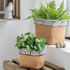 Aztec Illusion Wicker Pot