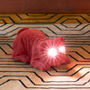 Devilish Bulldog Deco Light
