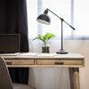 Seattle Desk L110