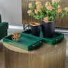 Reptilian Green Tray