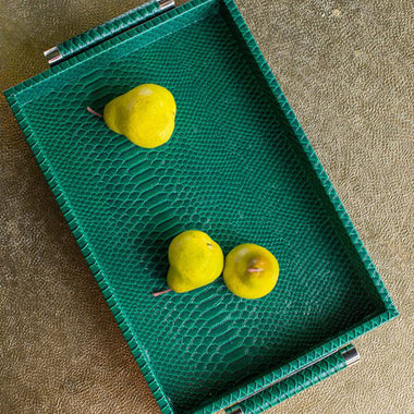 Reptilian Green Tray