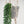 Herb Pot Vintage