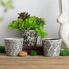 Herb Pot Vintage