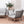 Josefine Lounge Armchair