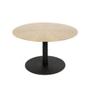 Snow Brushed Coffee Table (Gold)