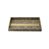 Reptilian Brown Tray