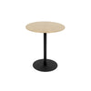Snow Brushed Side Table (Gold)