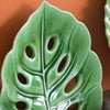 Monstera Leaf Plate