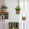 Basket Hanging Illusion Pot