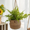 Basket Hanging Illusion Pot